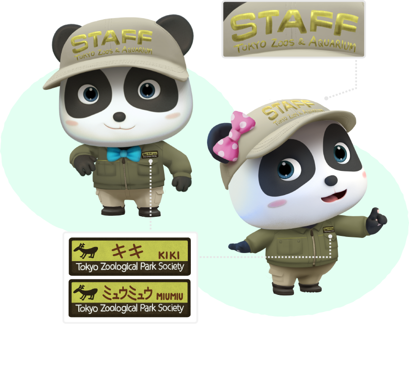 キキ ミュウミュウ