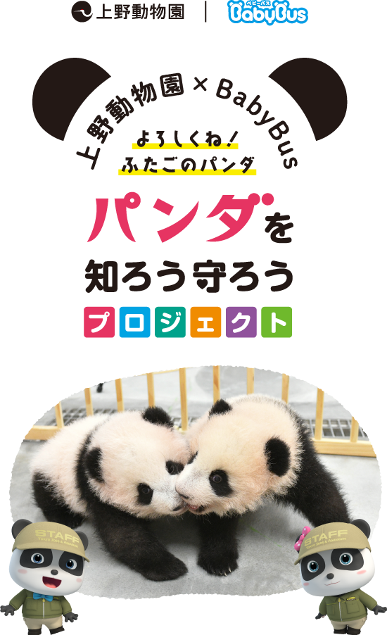 上野動物園×BabyBus よろしくね!ふたごのパンダ パンダを知ろう守ろうプロジェクト